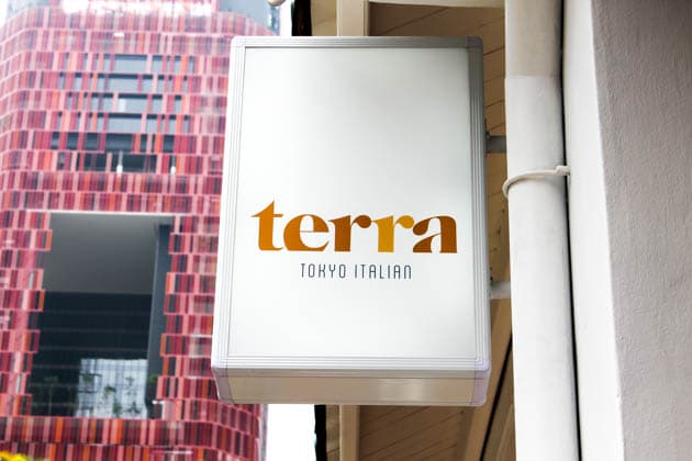 Terra image 4