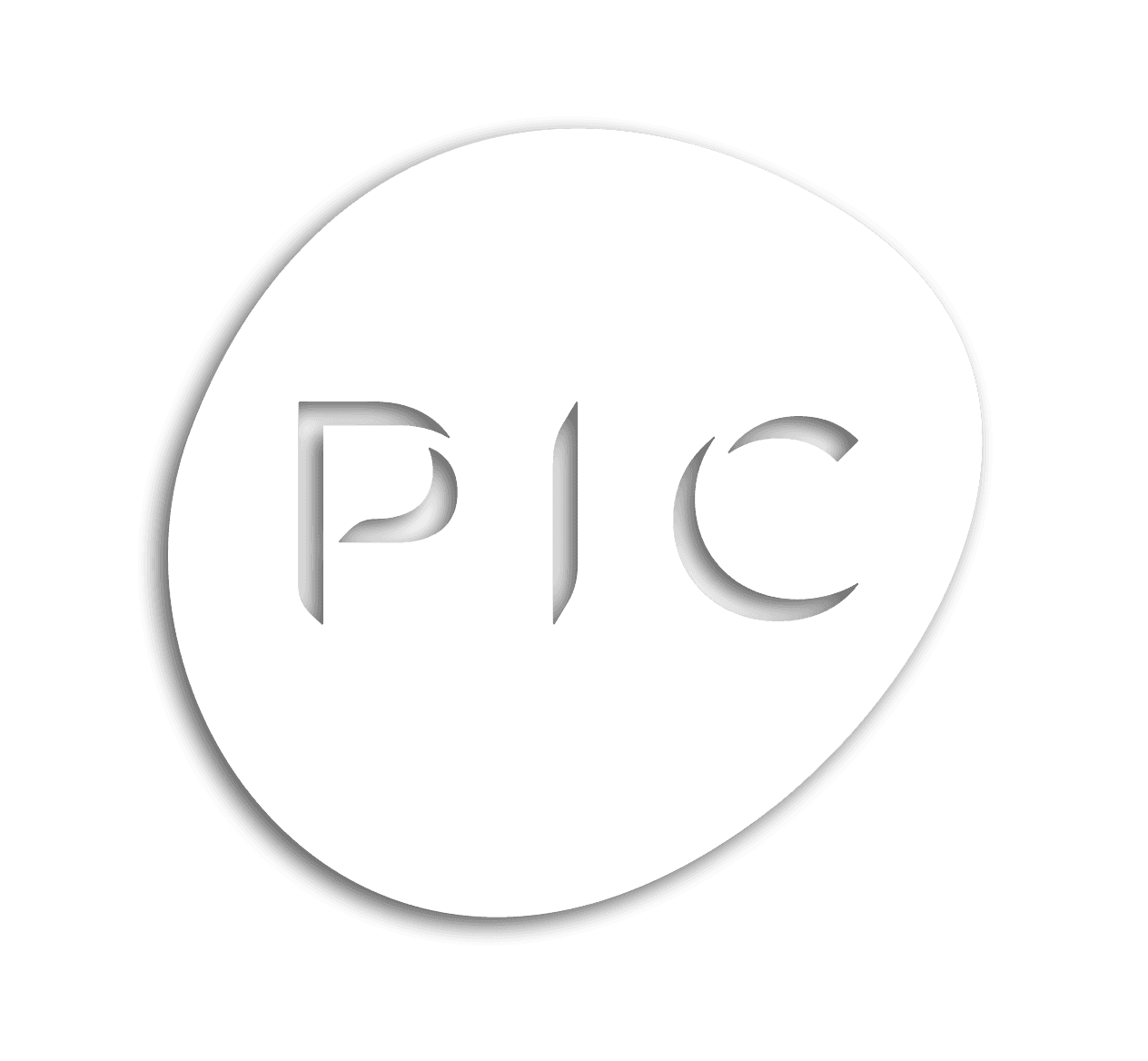 La Dame de Pic image 2