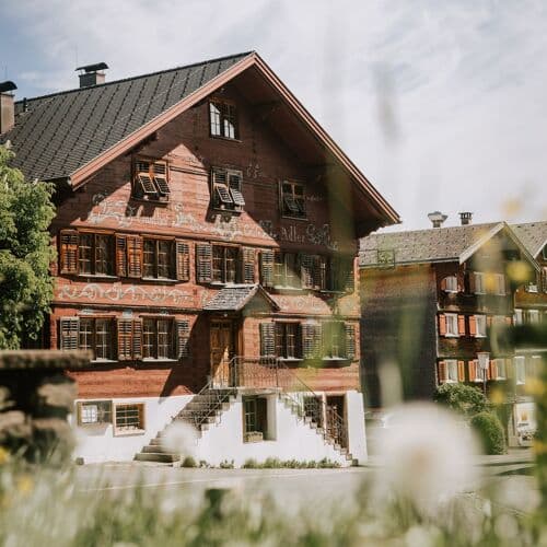 Photo of Adler