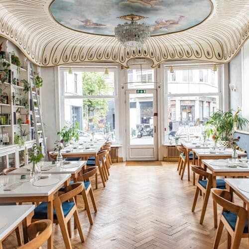 Photo of Humus x Hortense