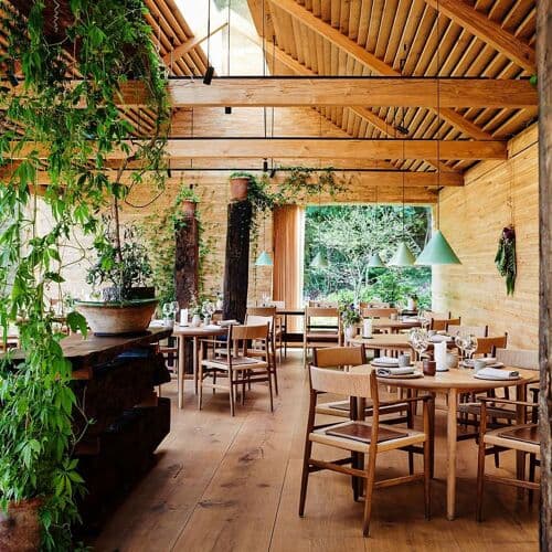 Photo of noma