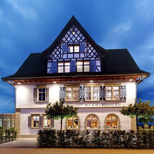 Neue Blumenau image 1