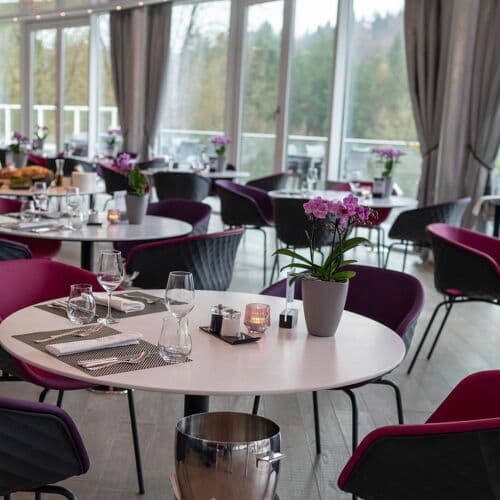 Schwitzer's Gourmet-Restaurant image 4