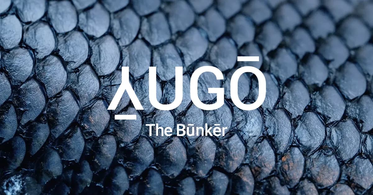 Yugo The Bunker image 2