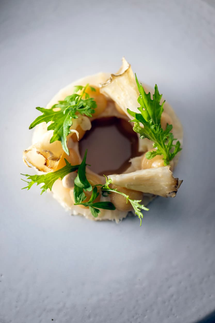 Humus x Hortense image 2