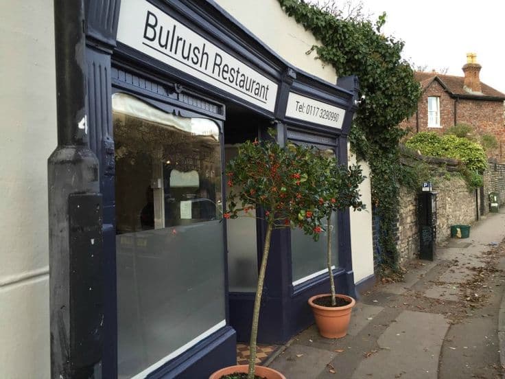 Bulrush image 4