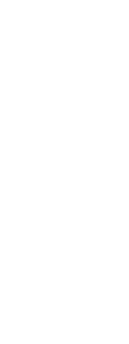 Icca image 2