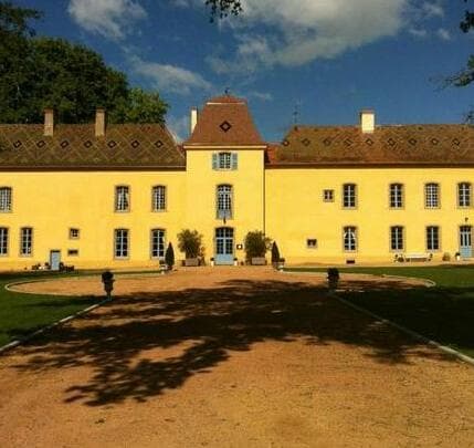 Château d'Origny image 4