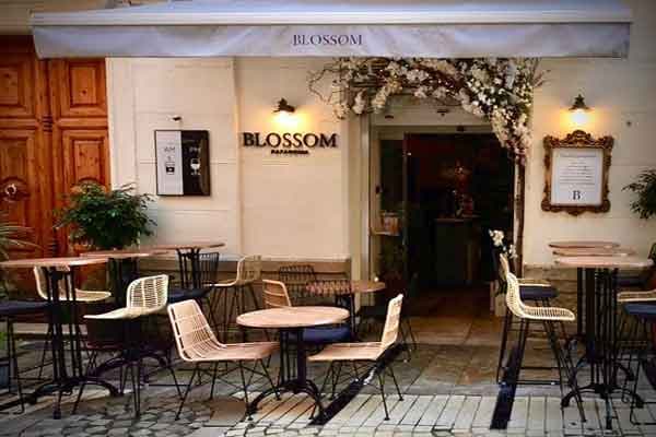 Blossom image 4