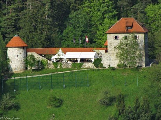 Pavus image 2