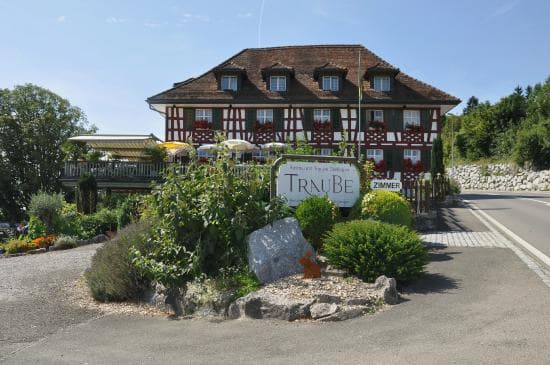 Traube image 2