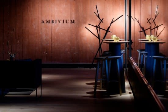 Ambivium image 4