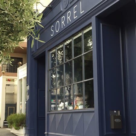 Sorrel image 3