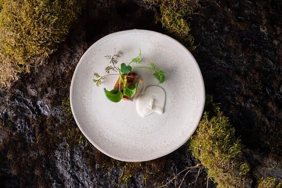Moss image 4