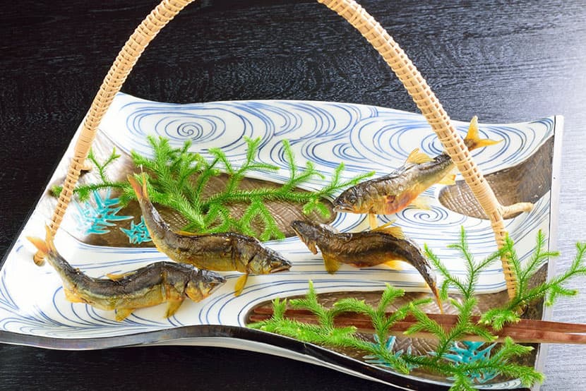 Wagokoro Izumi image 4