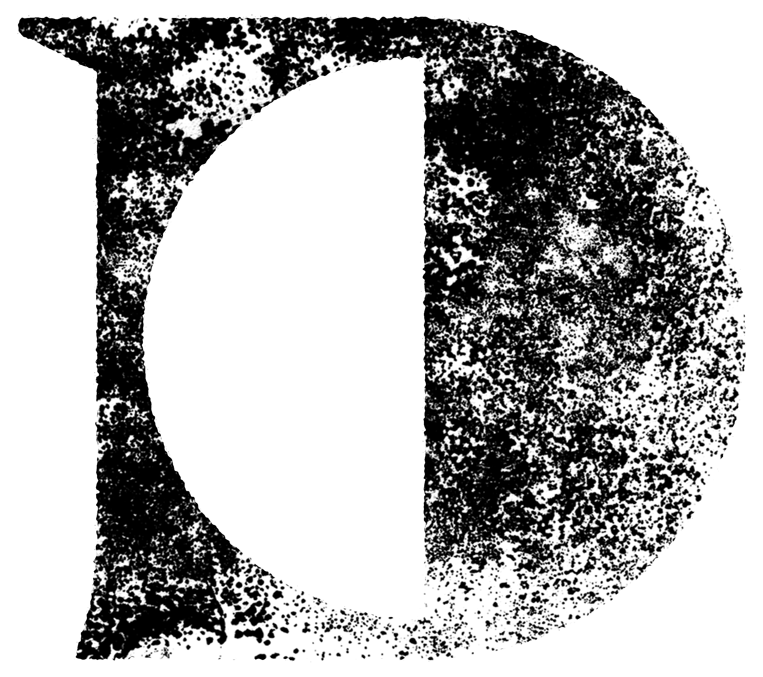 Doubek image 2