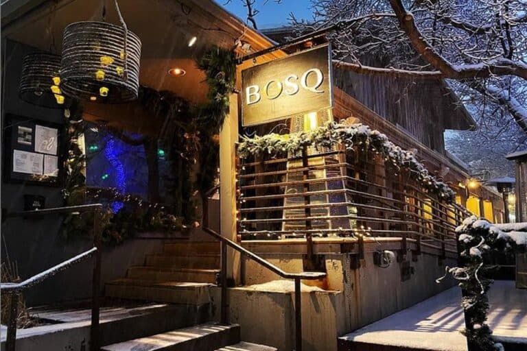 Bosq image 4