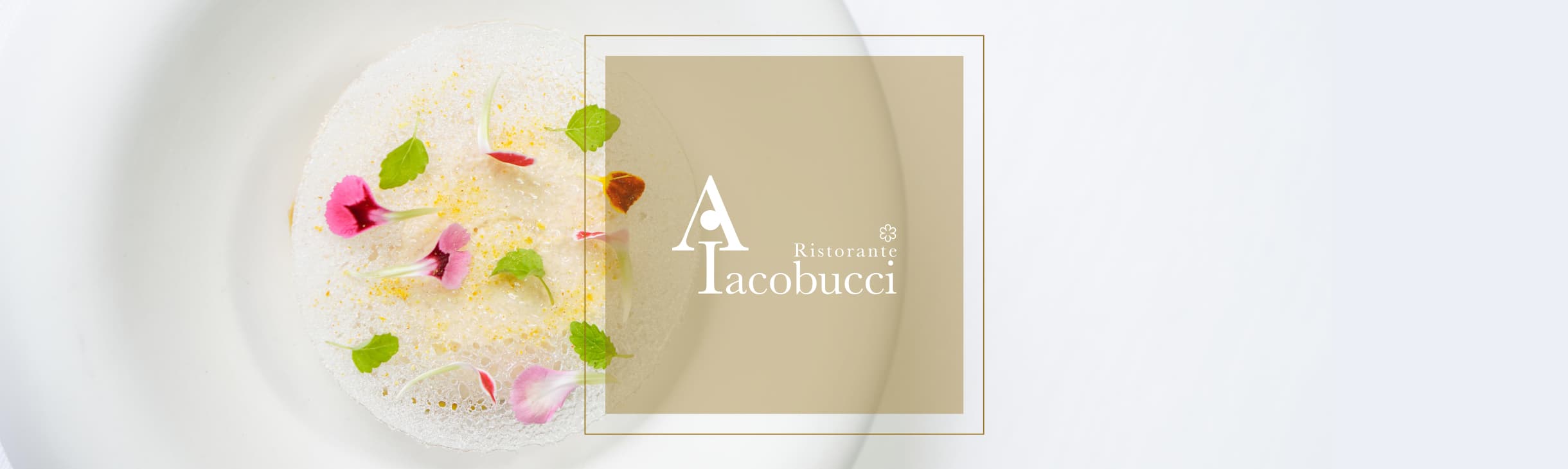 Iacobucci image 4
