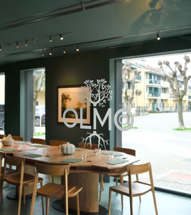 Olmo image 2