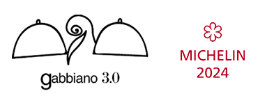 Gabbiano 3.0 image 2