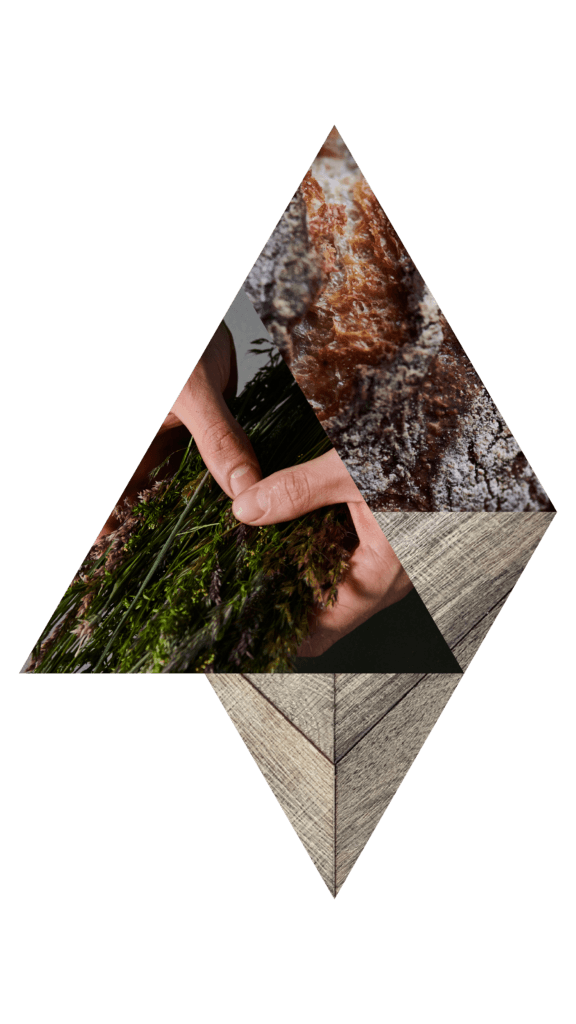 Lucide image 3