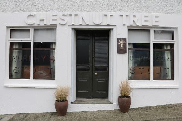 Photo of Chestnut