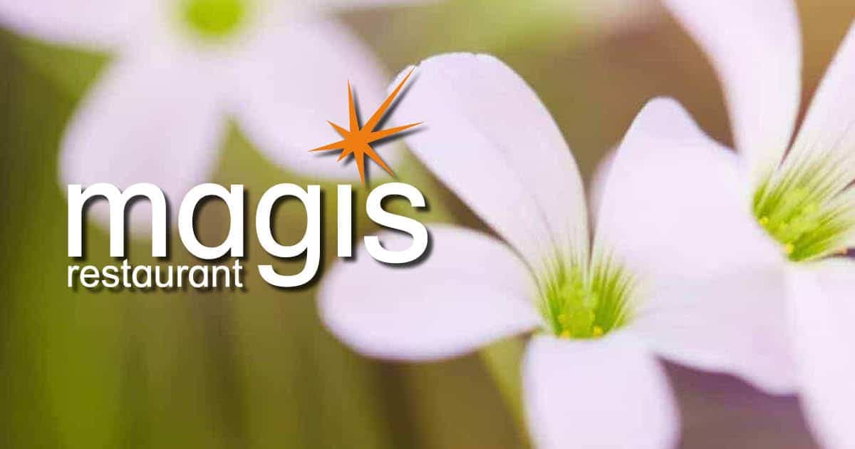 Magis image 2