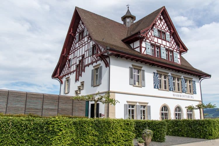 Mammertsberg image 4
